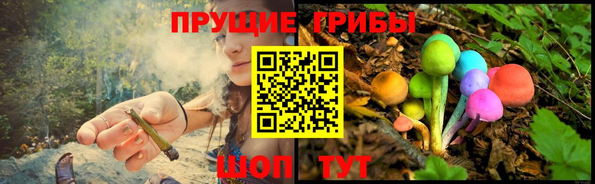 Сертолово  Галлюциногенные грибы Psilocybine cubensis  Псилоцибиновые грибы MAGIC MUSHROOMS  купить наркоту  Вход с VPN 