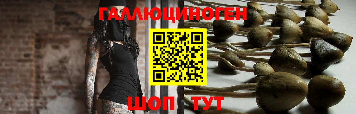 Псилоцибиновые грибы Magic Shrooms Сертолово